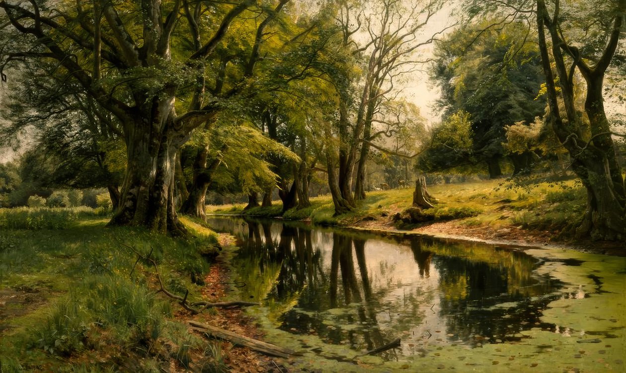 Agua tranquila en el bosque de Peder Monsted