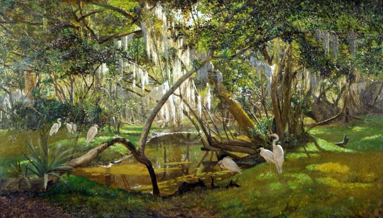 Garzas de Pedro Weingärtner