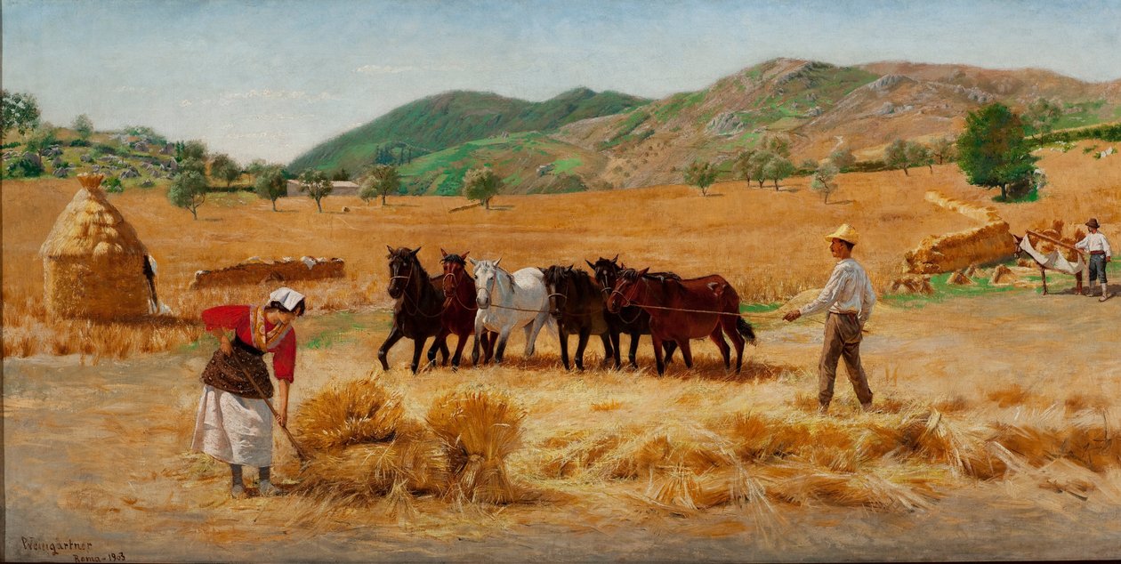 Cosecha en Anticoli de Pedro Weingärtner