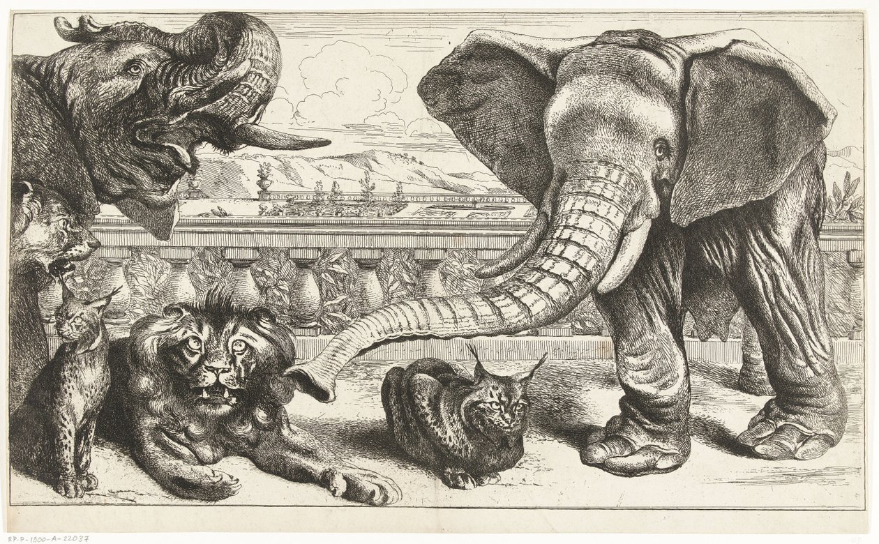 Elefantes, leones y linces en los jardines de Versalles de Peeter Boel (attributed to)