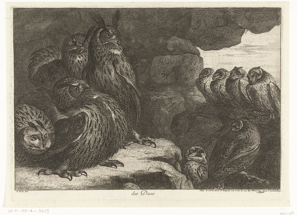 Búhos en una cueva des Ducs (título sobre objeto) Birds from the Menagerie of Versailles (título de la serie) de Peeter Boel (attributed to)