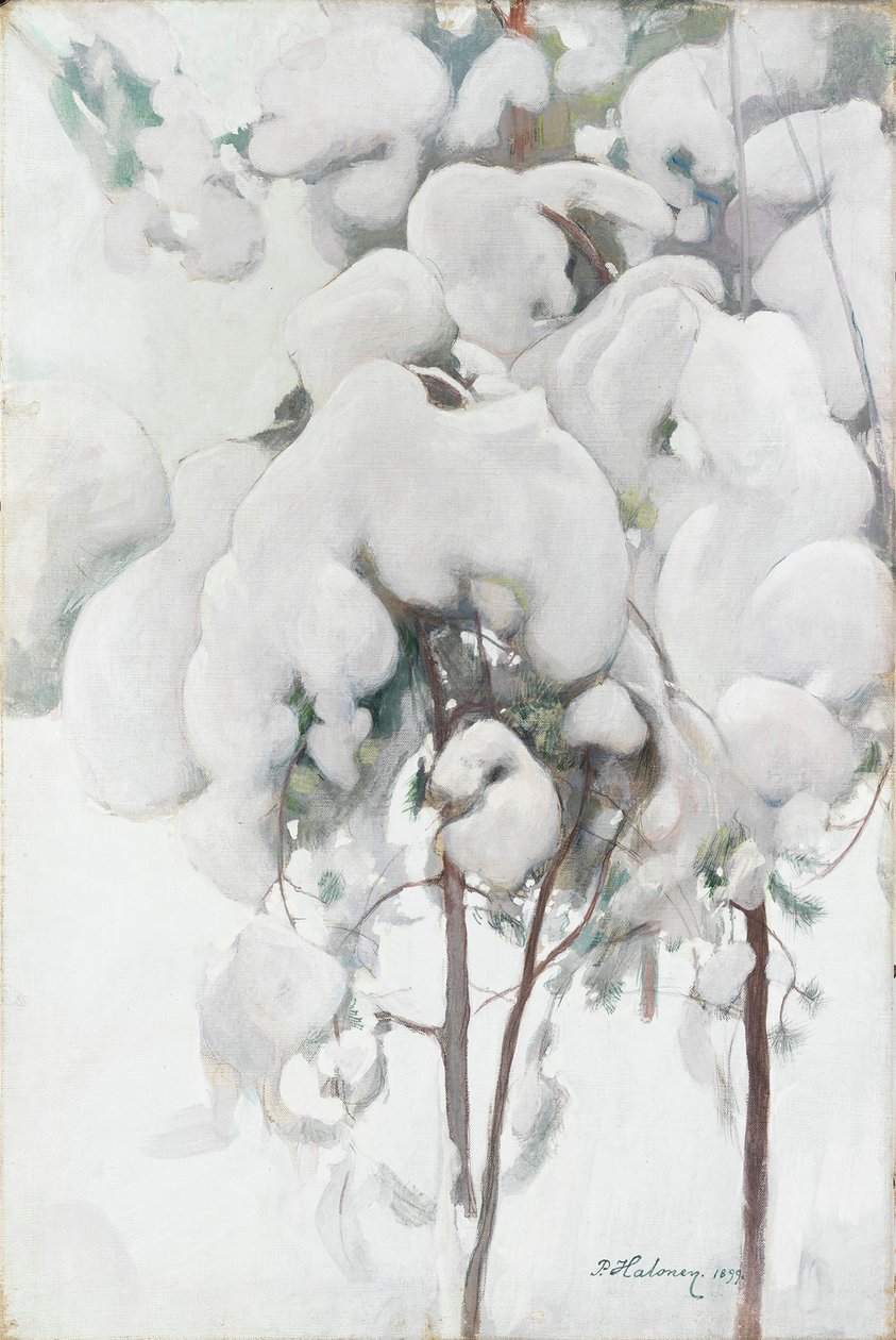 Plantones de pino cubiertos de nieve de Pekka Halonen