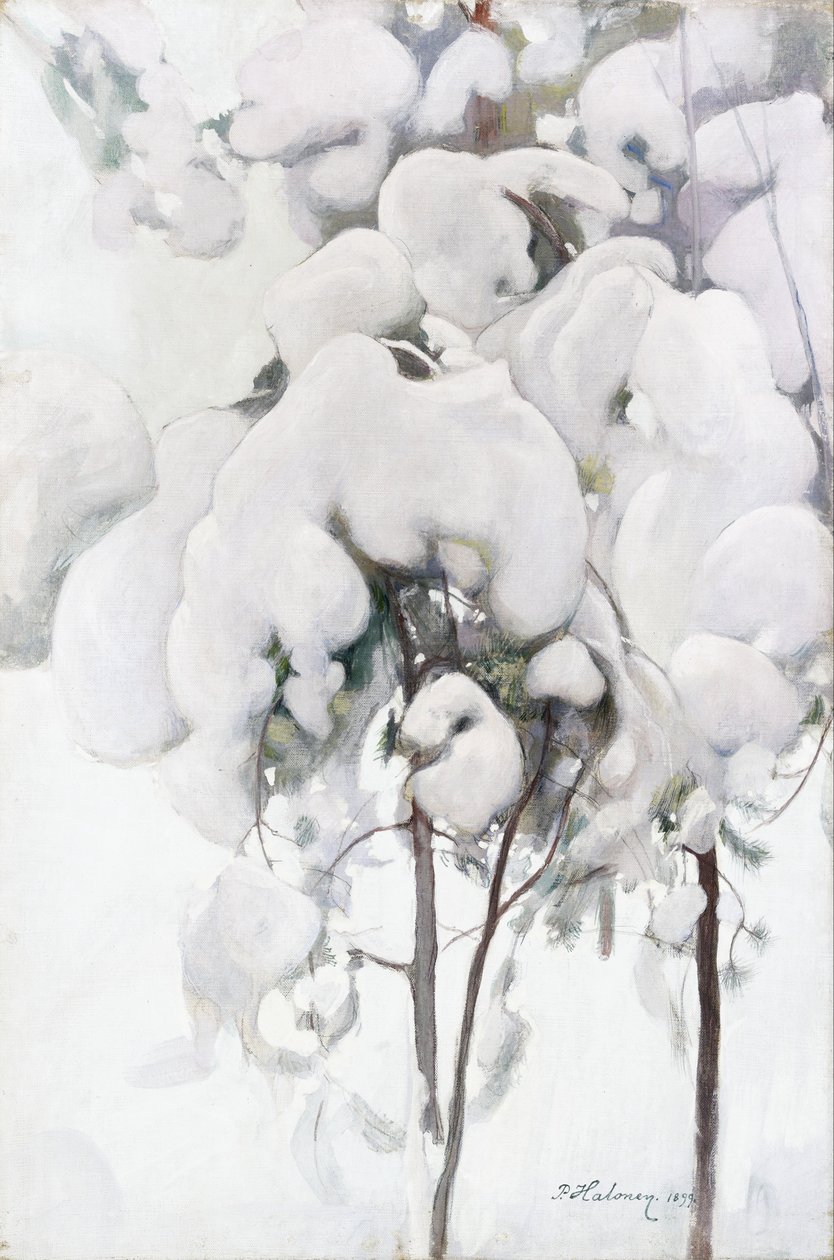 Plantones de pino cubiertos de nieve de Pekka Halonen
