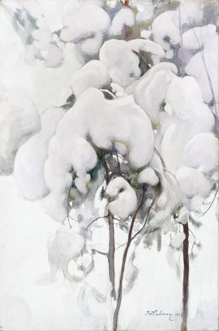 Pinos jóvenes cubiertos de nieve de Pekka Halonen