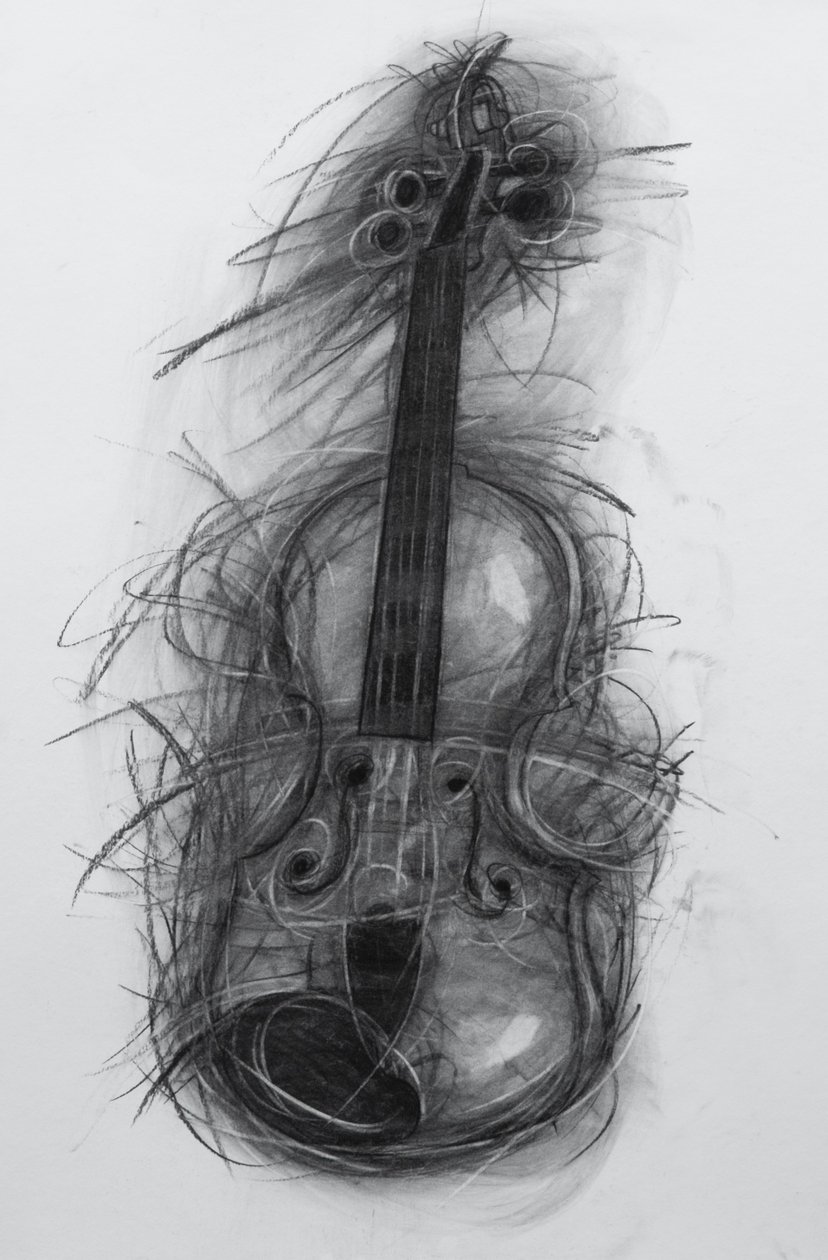 Violín de Penny Warden