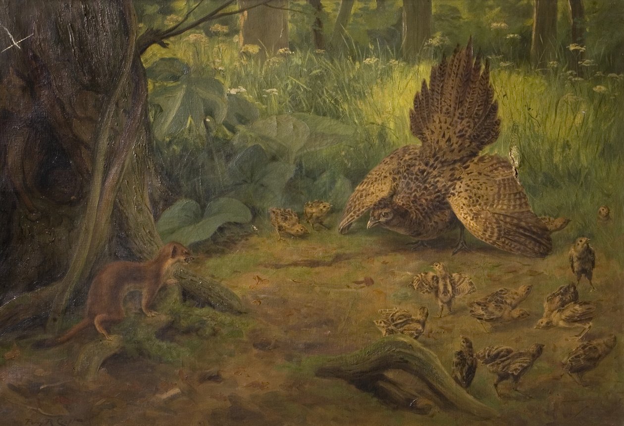 Defensa no desafío, principios del siglo XX de Percy Robert Craft