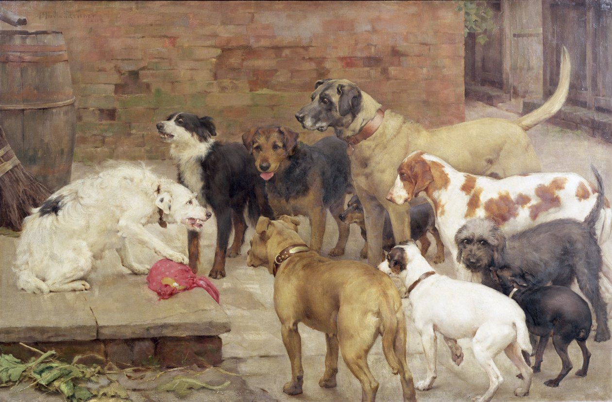 El Perro con la Cena de su Amo, 1892 de Percy Harland Fisher