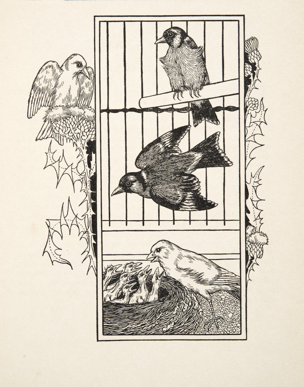 Un canario caritativo, de Cien anécdotas de animales, pub. 1924 de Percy J. Billingshurst
