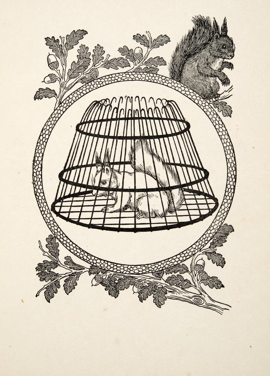 Una ardilla refugiada, de Cien anécdotas de animales, pub. 1924 de Percy J. Billingshurst