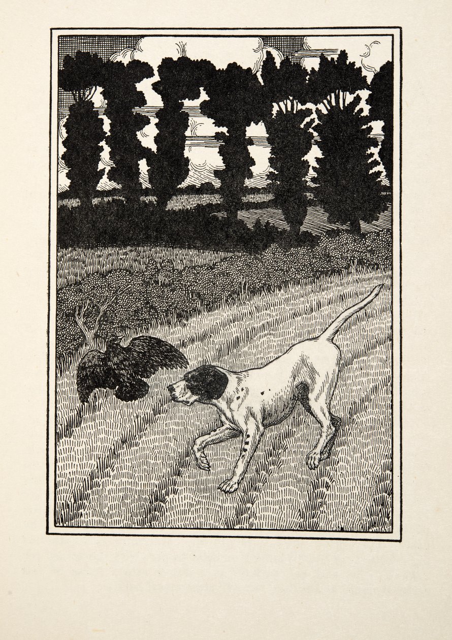 Engañando al cazador, de Cien anécdotas de animales, pub. 1924 de Percy J. Billingshurst