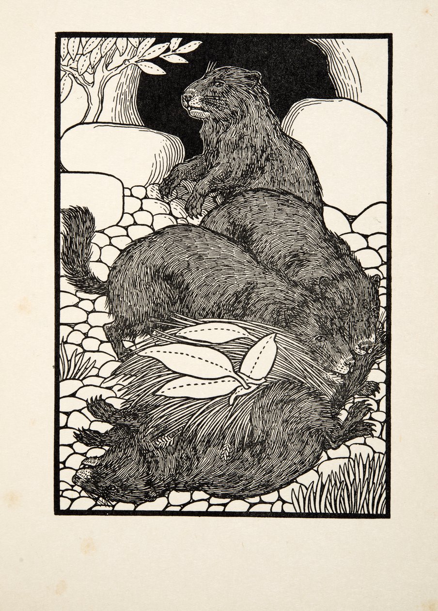 División del trabajo, de Cien anécdotas de animales, pub. 1924 de Percy J. Billingshurst