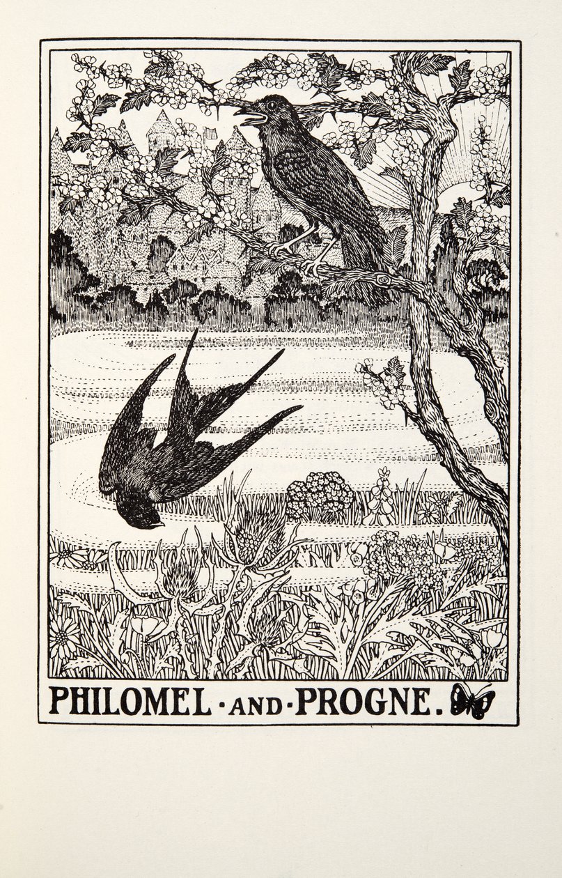 Filomela y Progne, de las Fábulas de Fontaine, pub. 1905 de Percy J. Billingshurst