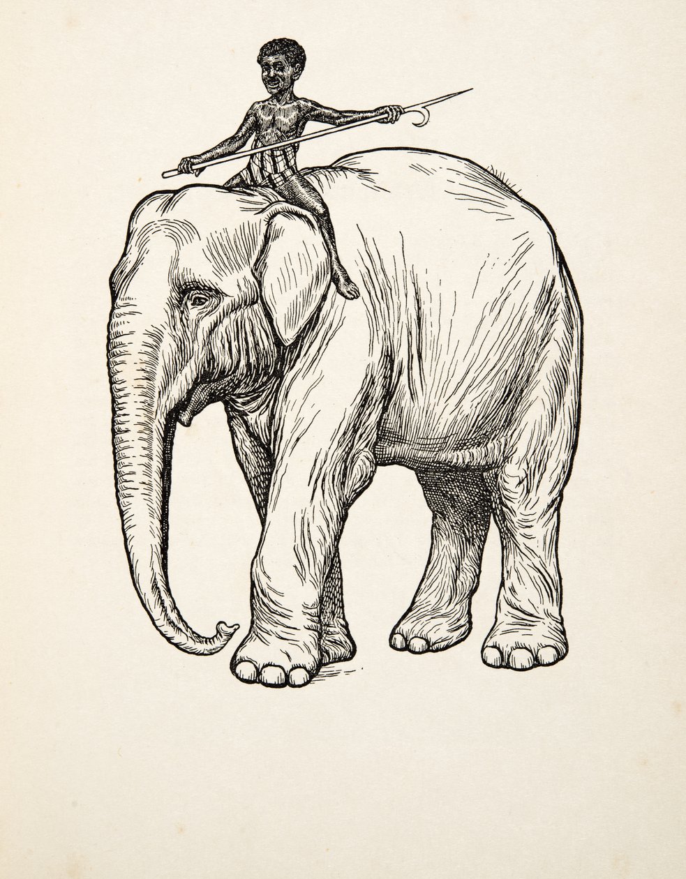 Remordimiento, de Cien anécdotas de animales, pub. 1924 de Percy J. Billingshurst