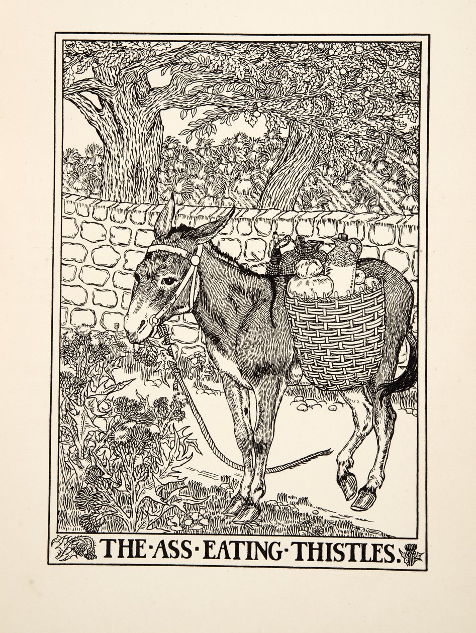 El Asno Comiendo Cardos, de Cien Fábulas de Esopo, pub.1903 de Percy J. Billingshurst