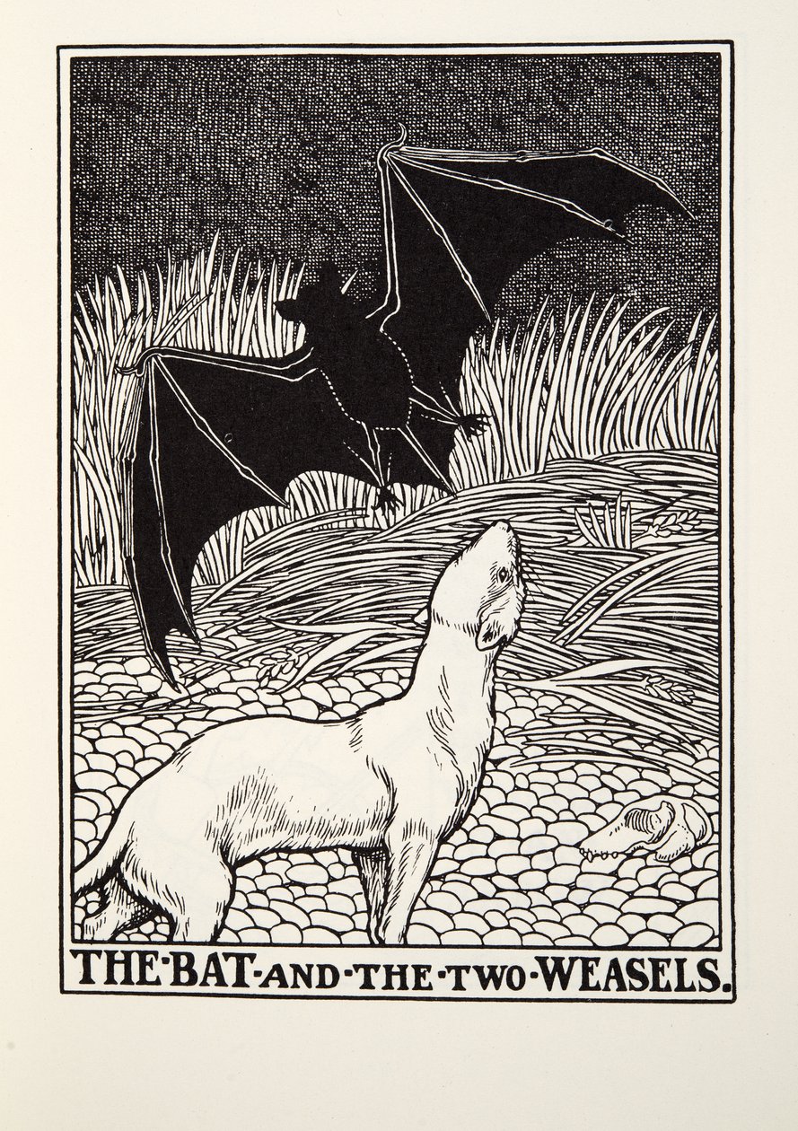 El Murciélago y las Dos Comadrejas, de las Fábulas de Fontaine, pub. 1905 de Percy J. Billingshurst