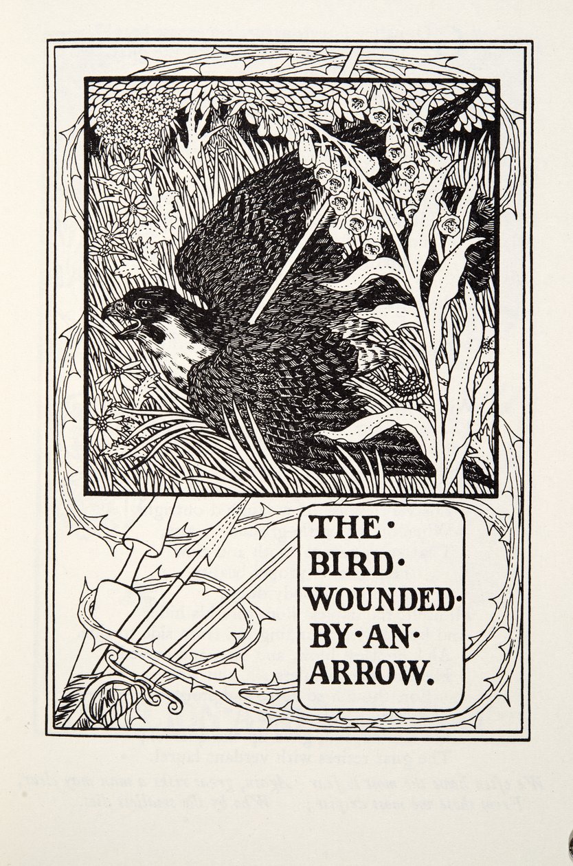 El Pájaro Herido por una Flecha, de las Fábulas de Fontaine, pub. 1905 de Percy J. Billingshurst