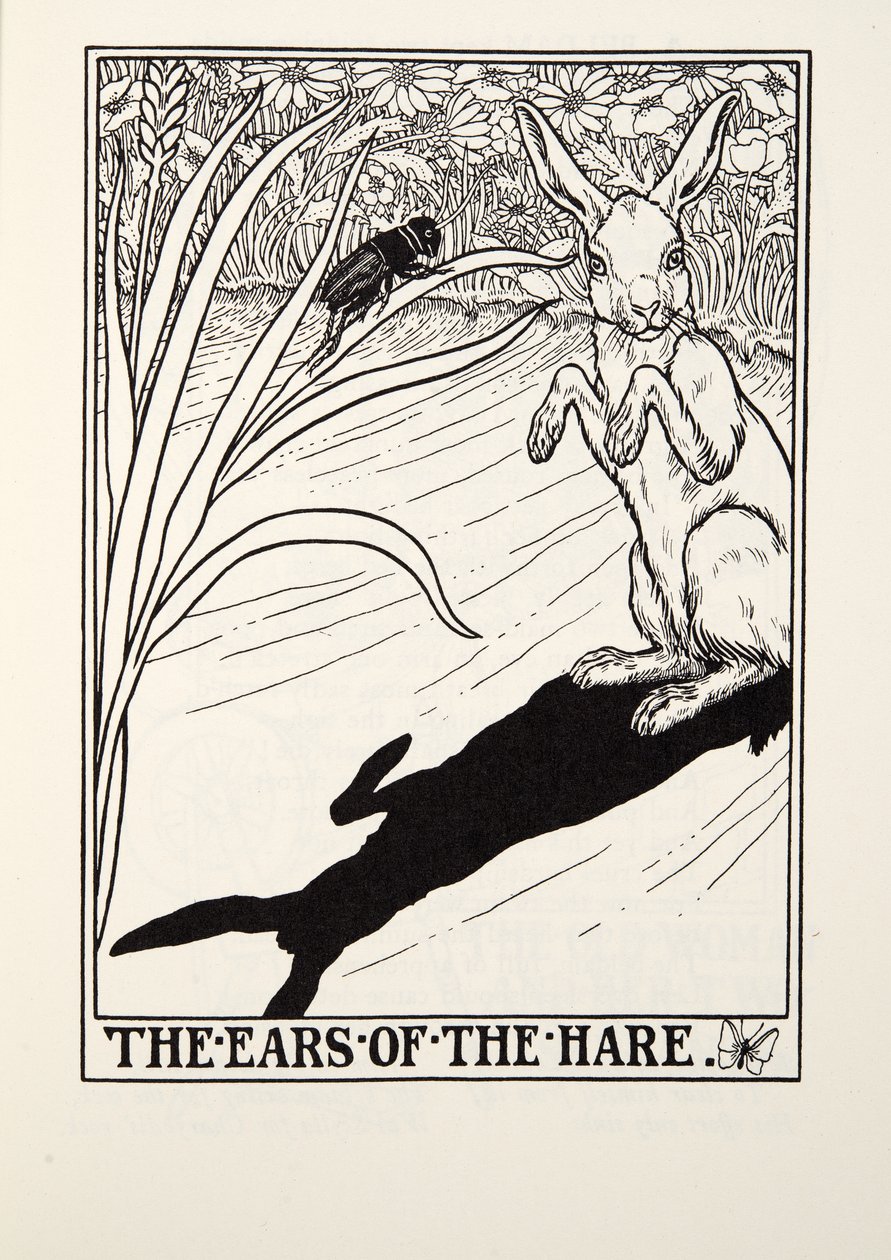 Las orejas de la liebre, de Fábulas de Fontaine, pub. 1905 de Percy J. Billingshurst