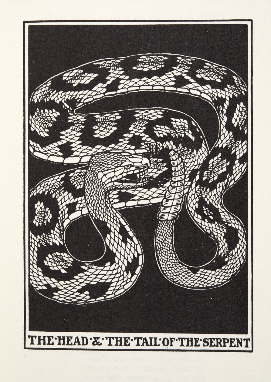 La Cabeza y la Cola de la Serpiente, de las Fábulas de Fontaine, pub. 1905 de Percy J. Billingshurst