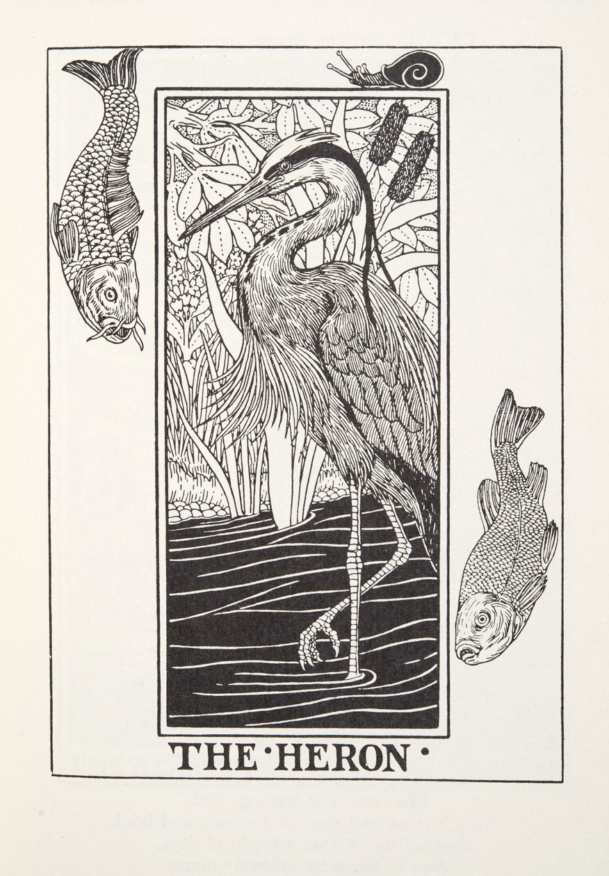 La garza, de las Fábulas de Fontaine, pub. 1905 de Percy J. Billingshurst