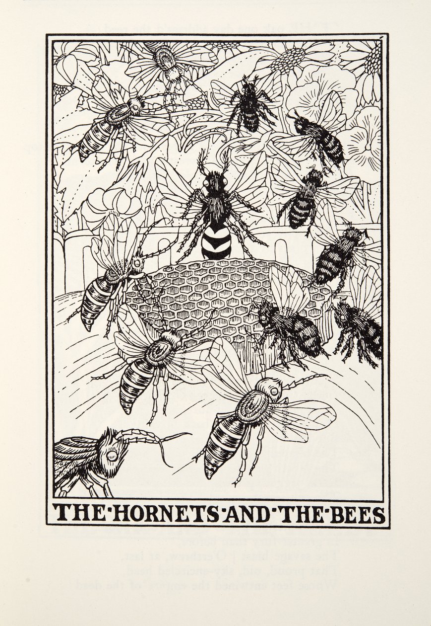Las Avispas y las Abejas, de Fábulas de Fontaine, pub. 1905 (grabado) de Percy J. Billingshurst