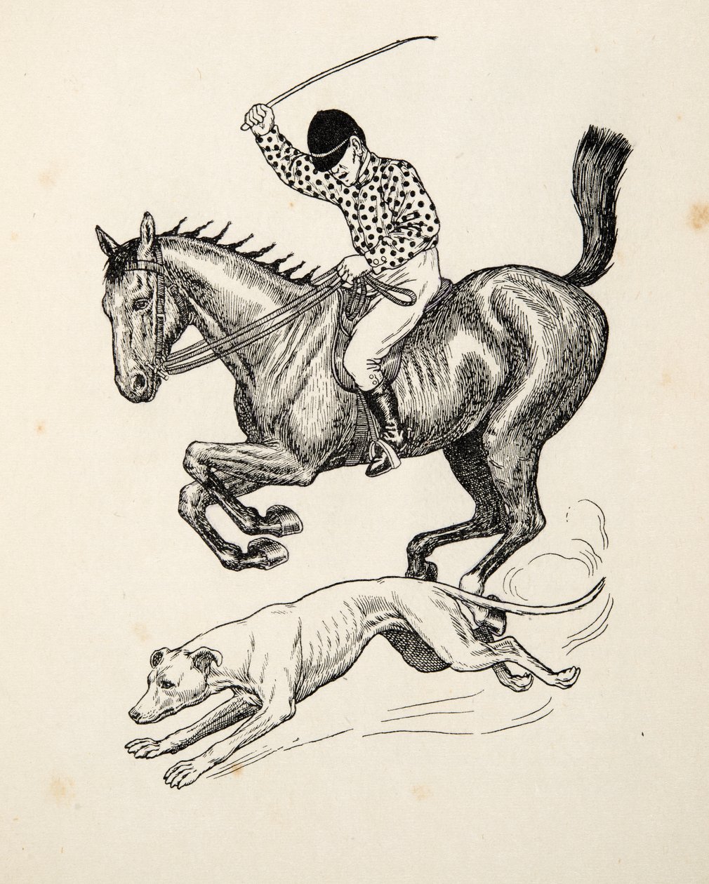 El caballo y el galgo, de Cien anécdotas de animales, pub. 1924 de Percy J. Billingshurst