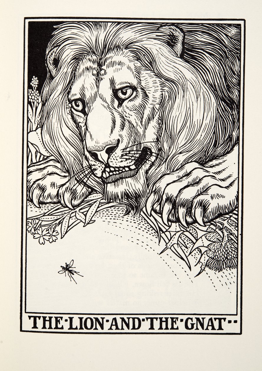 El León y el Mosquito, de las Fábulas de Fontaine, pub. 1905 de Percy J. Billingshurst