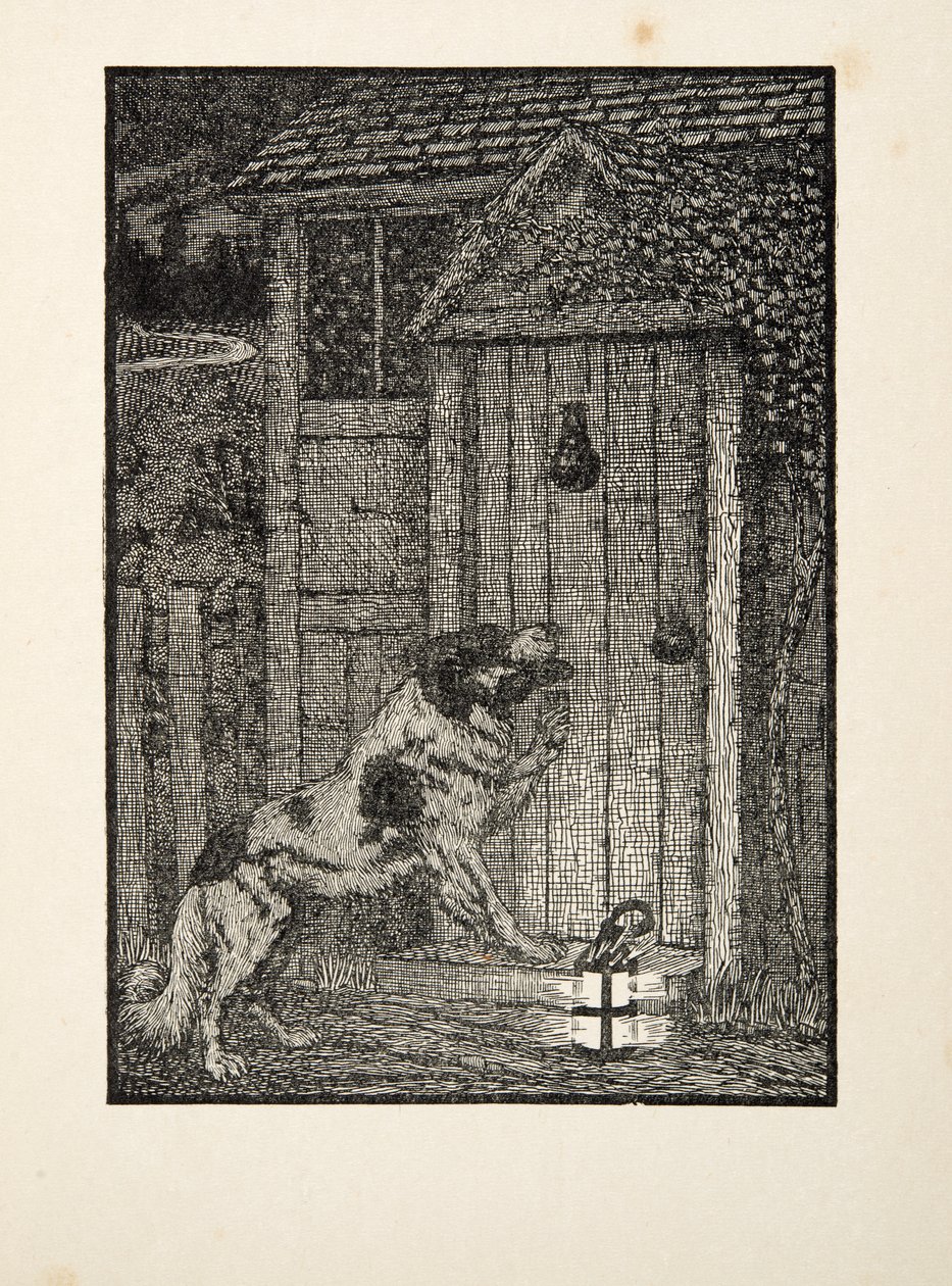 El perro de Terranova, de Cien anécdotas de animales, pub. 1924 de Percy J. Billingshurst