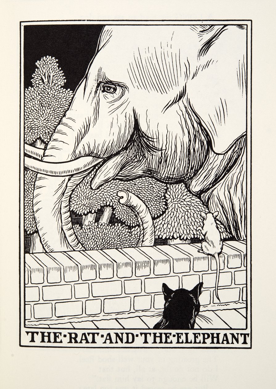 La Rata y el Elefante, de las Fábulas de Fontaine, pub. 1905 de Percy J. Billingshurst