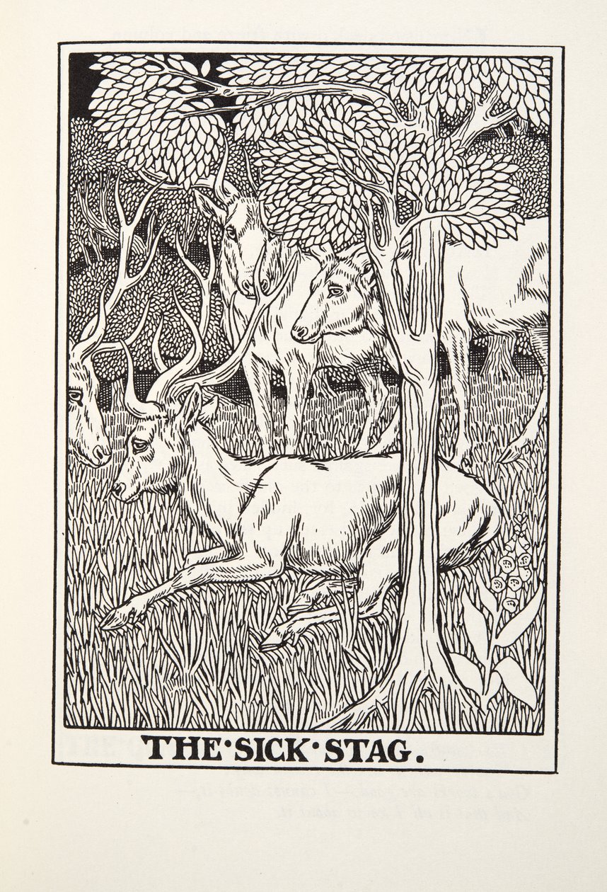 El ciervo enfermo, de las Fábulas de Fontaine, pub. 1905 de Percy J. Billingshurst