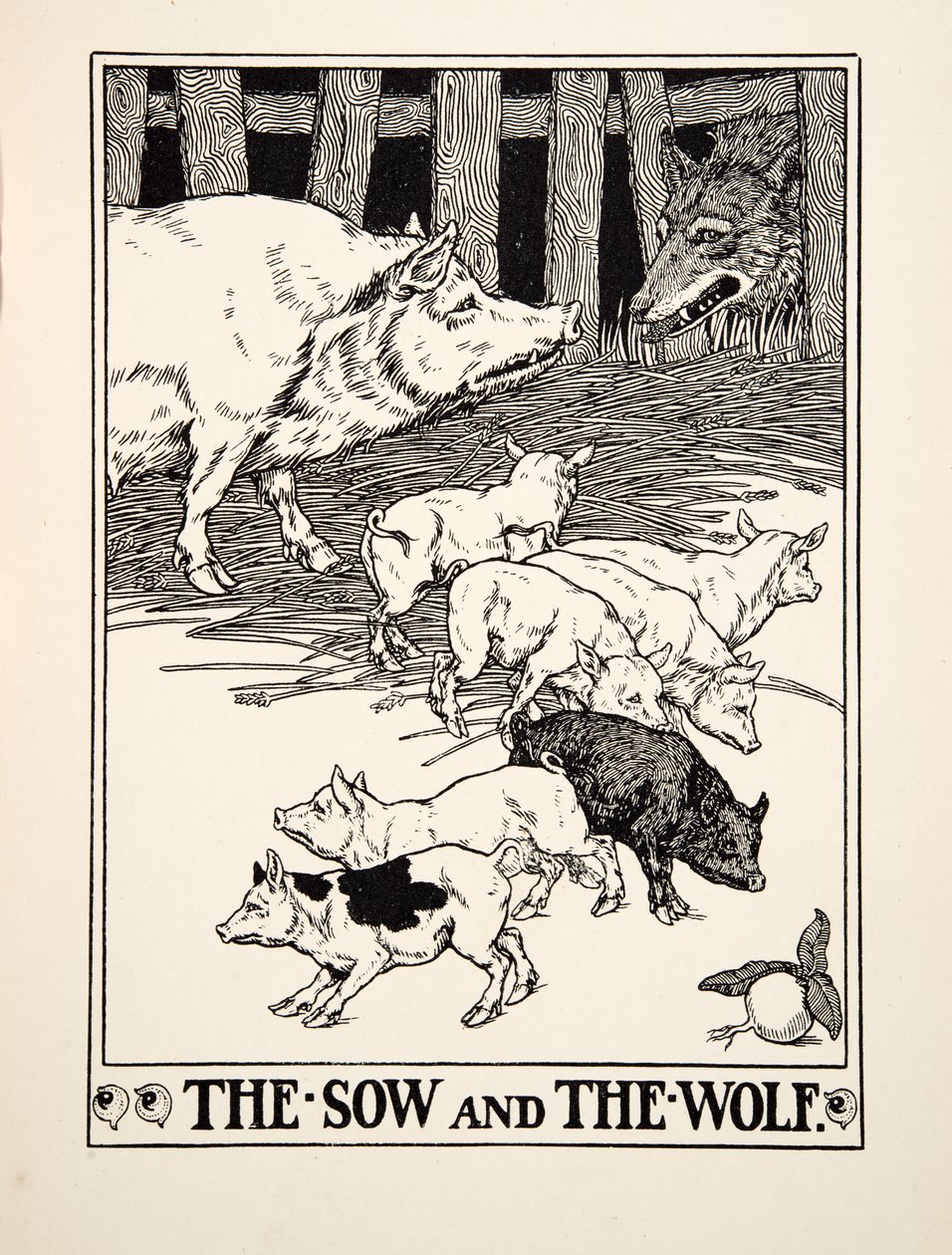 La cerda y el lobo, de Cien fábulas de Esopo, pub. 1903 (grabado) de Percy J. Billingshurst