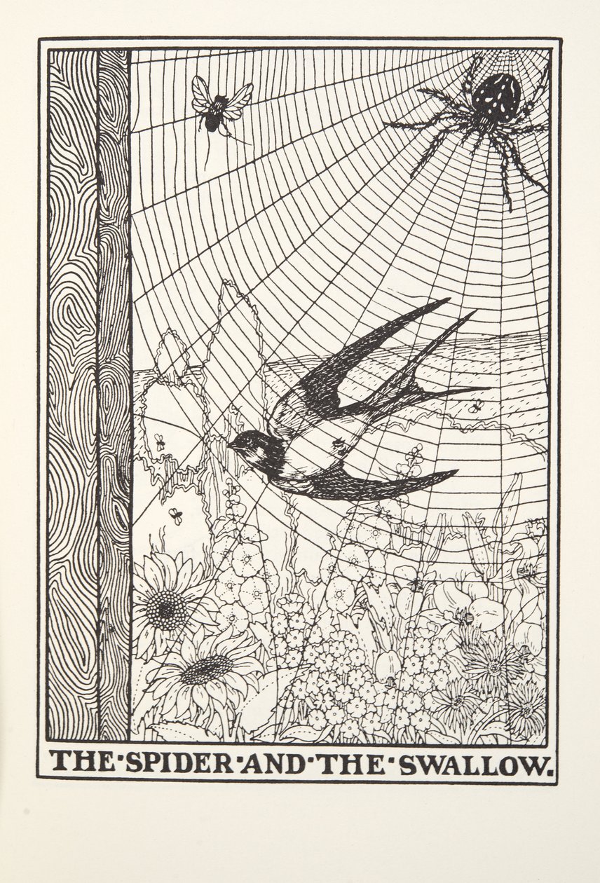 La araña y la golondrina, de las Fábulas de Fontaine, pub. 1905 de Percy J. Billingshurst