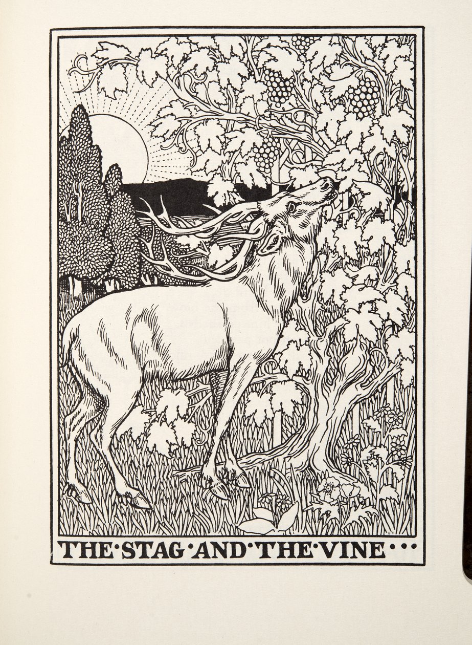 El ciervo y la vid, de Fábulas de Fontaine, pub. 1905 de Percy J. Billingshurst
