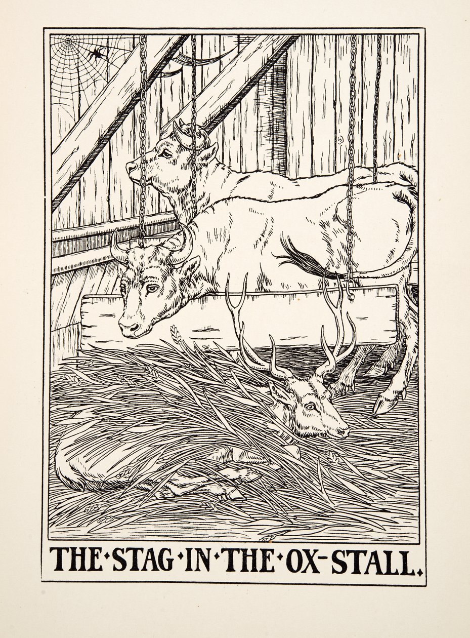 El ciervo en el establo de bueyes, de Cien fábulas de Esopo, pub.1903 (grabado) de Percy J. Billingshurst