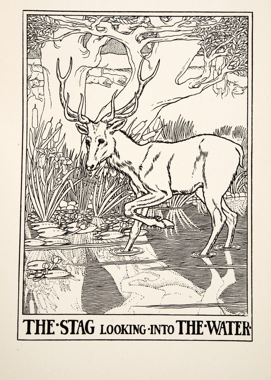 El ciervo mirando al agua, de Cien fábulas de Esopo, pub.1903 (grabado) de Percy J. Billingshurst