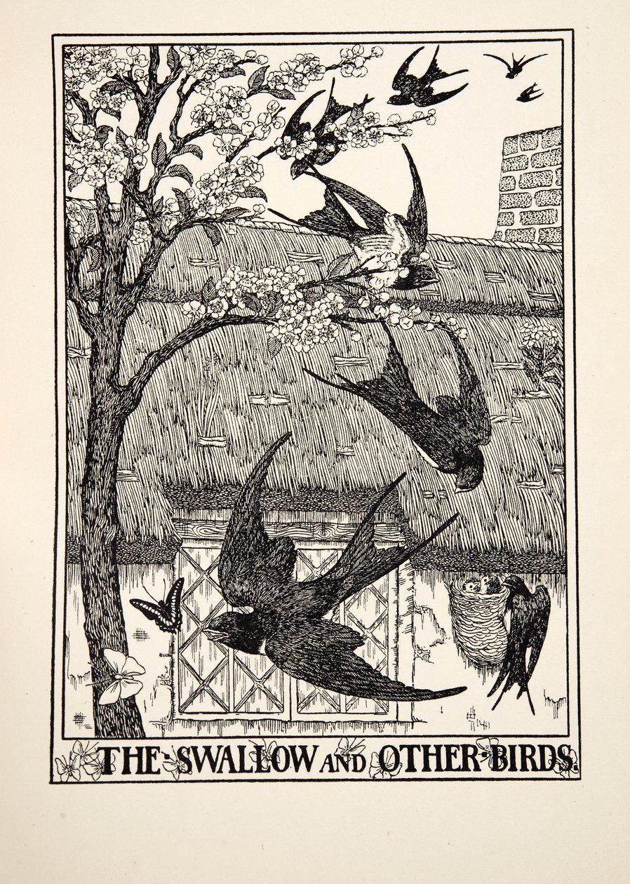 La golondrina y otras aves, de Cien fábulas de Esopo, pub.1903 de Percy J. Billingshurst