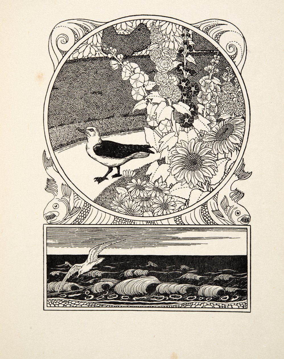 La gaviota domesticada, de Cien anécdotas de animales, pub. 1924 (grabado) de Percy J. Billingshurst