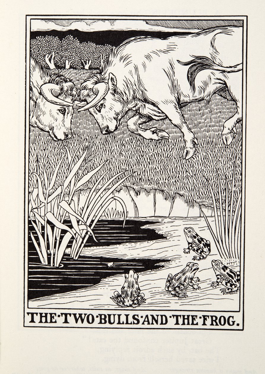 Los Dos Toros y la Rana, de las Fábulas de Fontaine, pub. 1905 de Percy J. Billingshurst