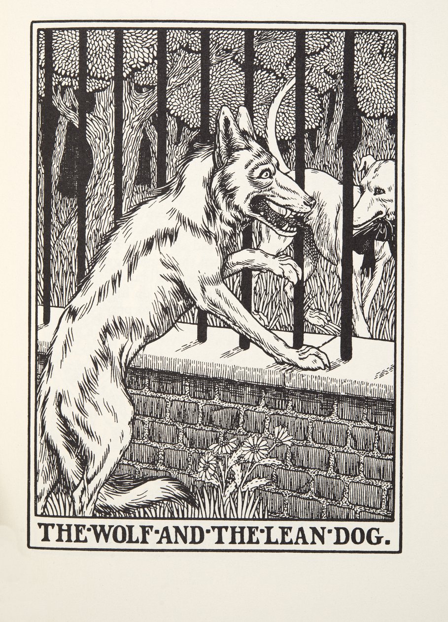 El lobo y el perro flaco, de las Fábulas de Fontaine, pub. 1905 de Percy J. Billingshurst