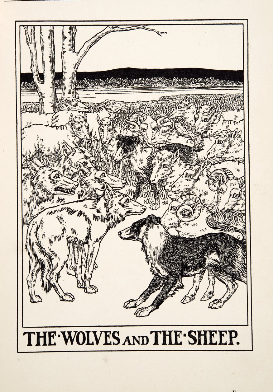 Los lobos y las ovejas, de Cien fábulas de Esopo, pub. 1903 (grabado) de Percy J. Billingshurst