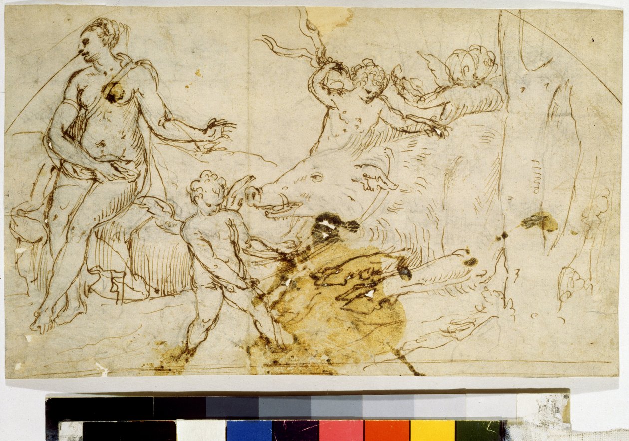  de Perino del (1501-47) Vaga