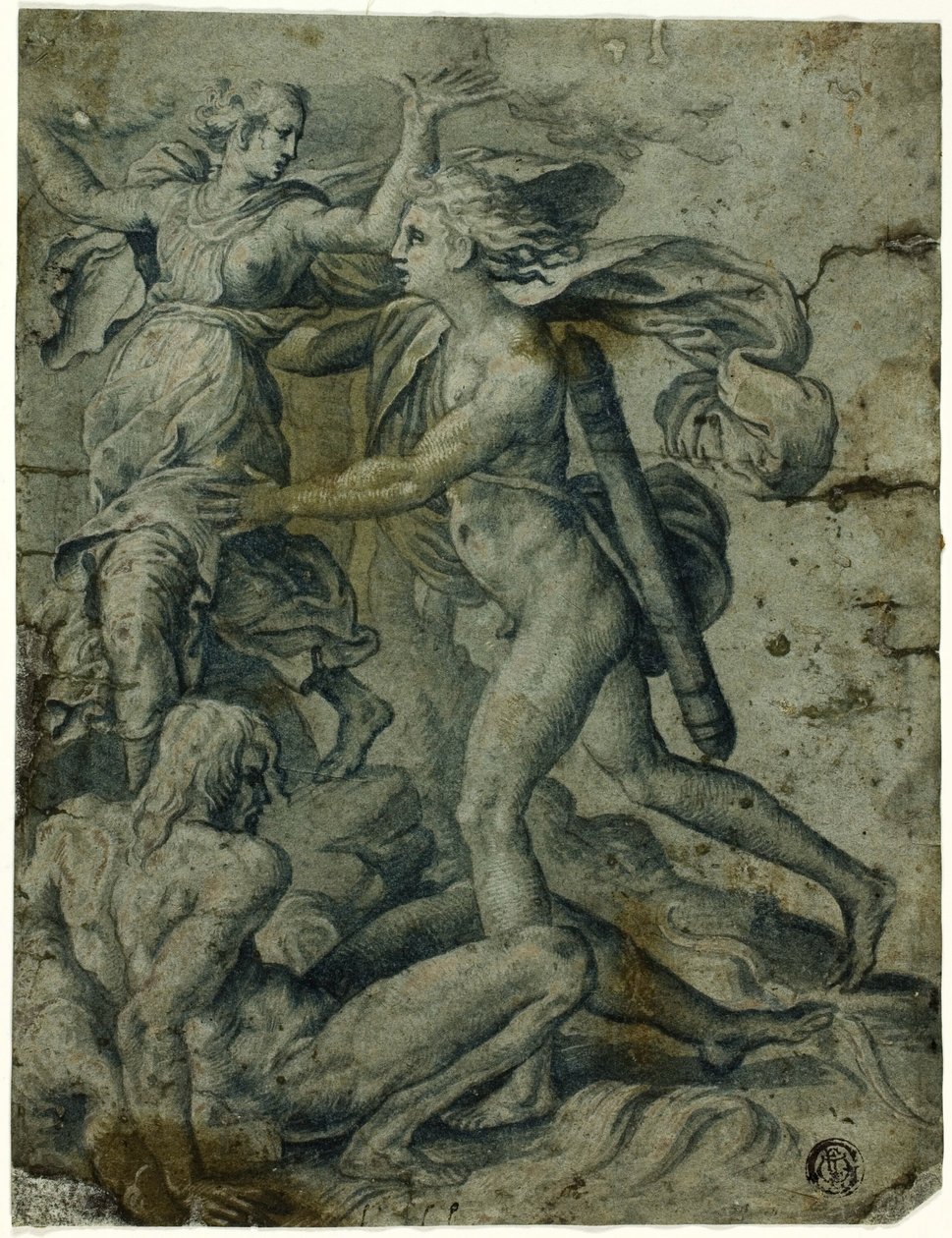 Apolo y Dafne de Perino del Vaga
