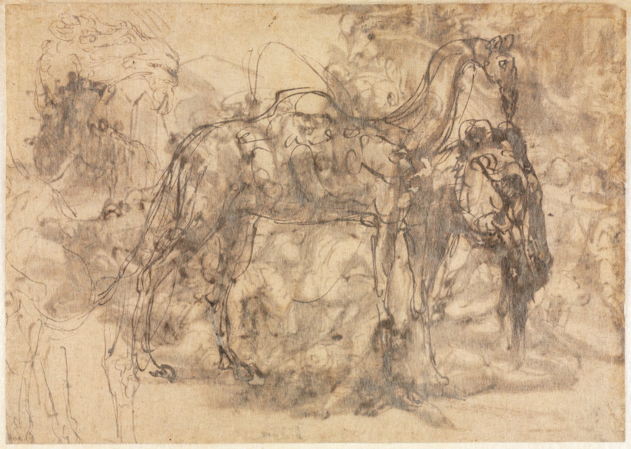 Bocetos de animales verso, c. 1545-1547 de Perino del Vaga