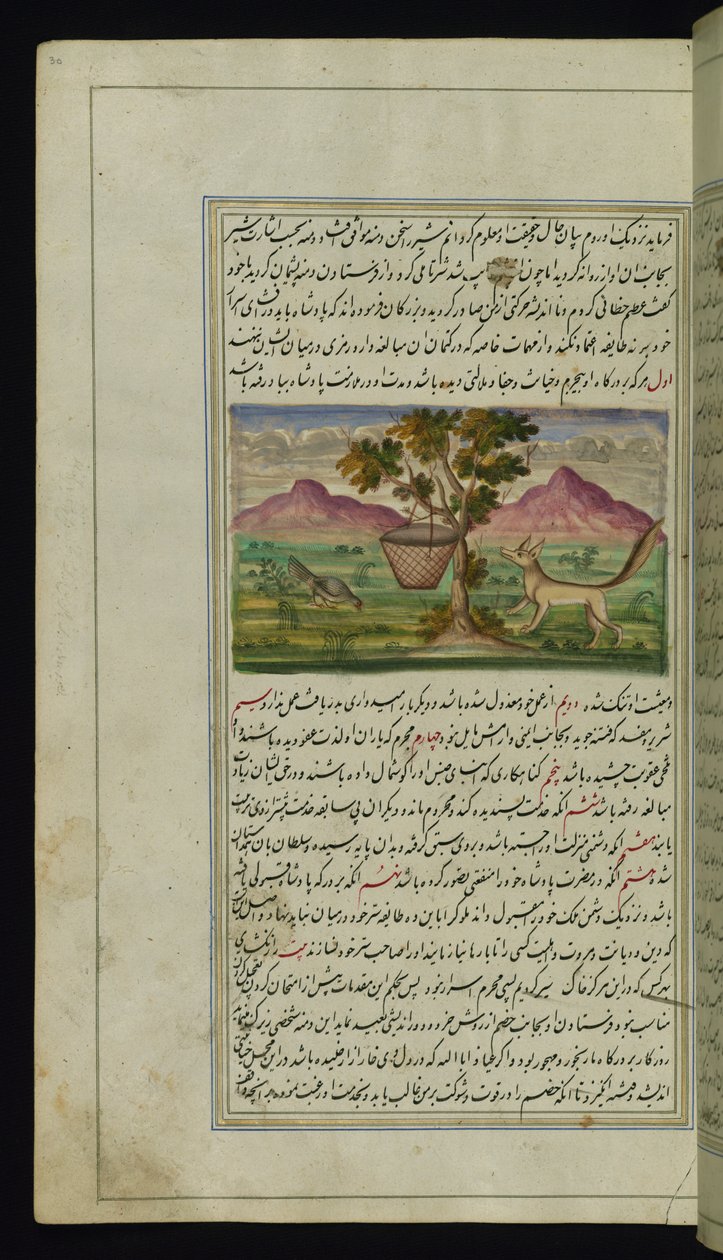 Un zorro y un tambor de Luces de Canopus de Persian School