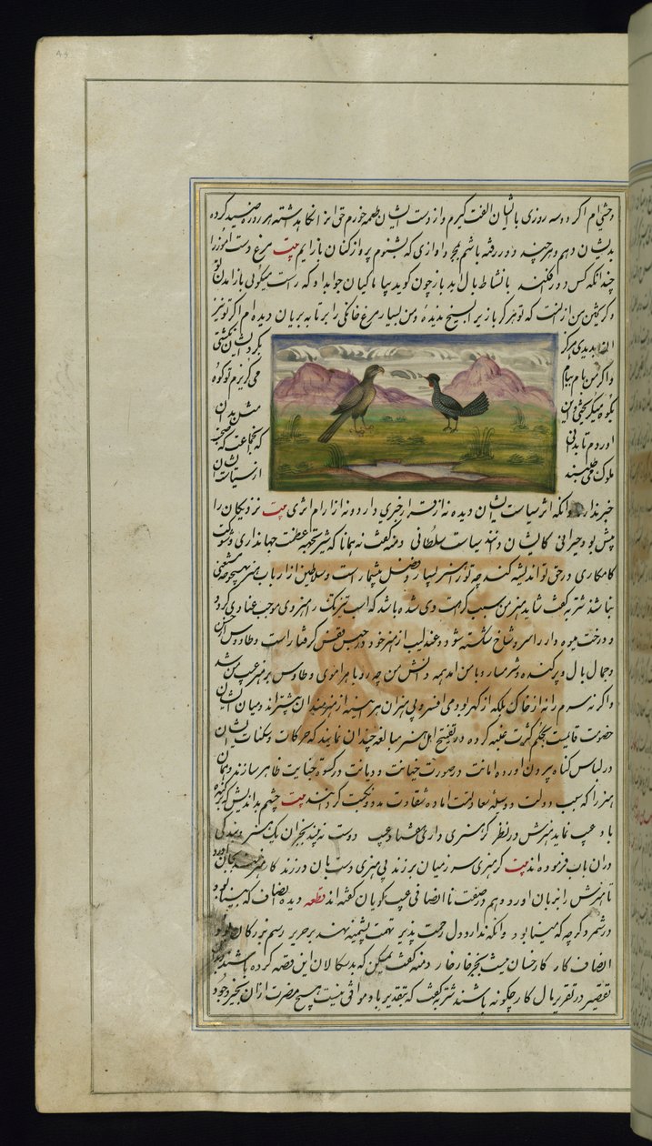 Un halcón y una gallina de Luces de Canopus de Persian School