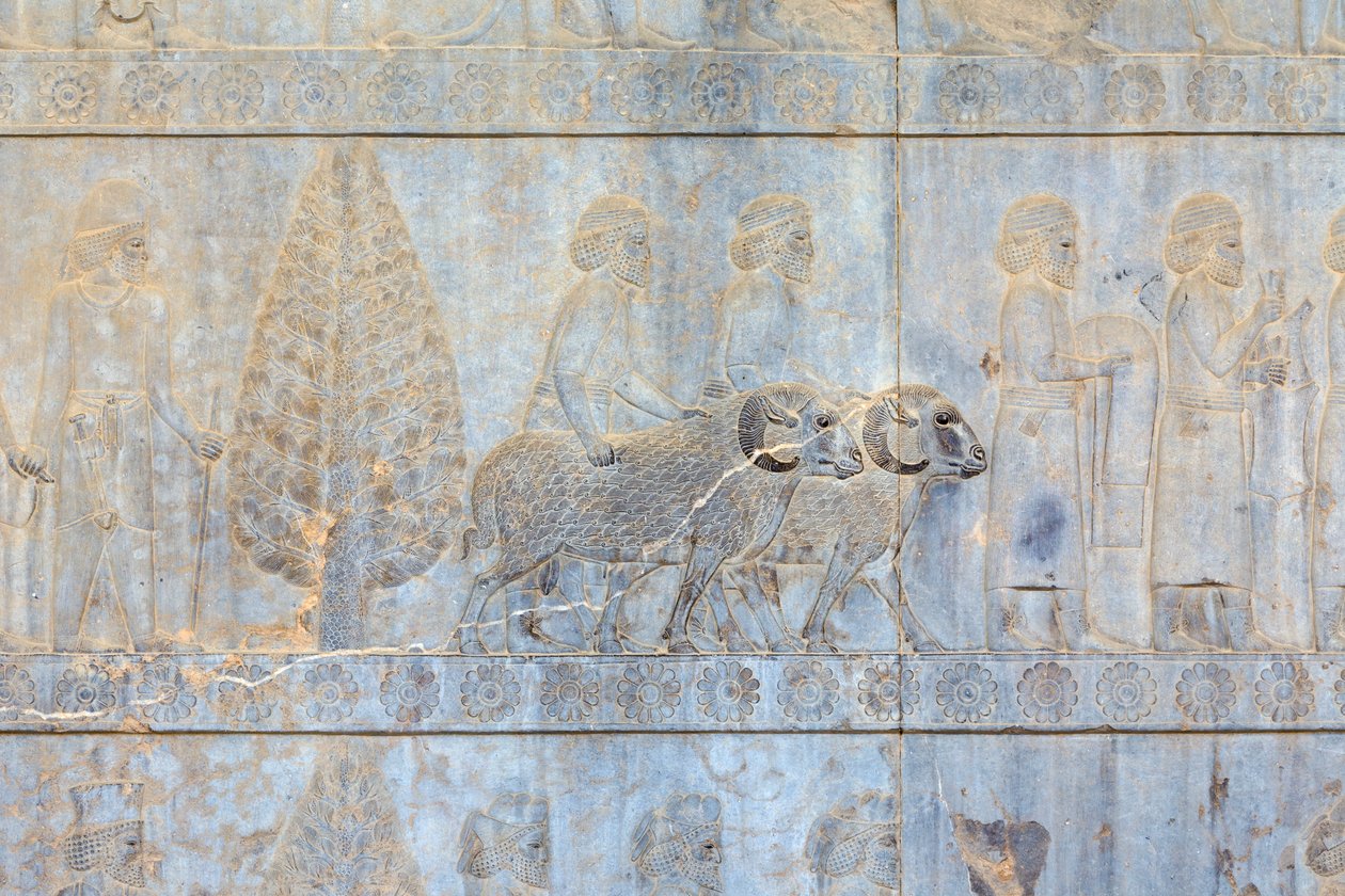 Bajorrelieves en los muros del palacio y la escalinata de Apadana, Persépolis, Irán (arenisca) de Persian School