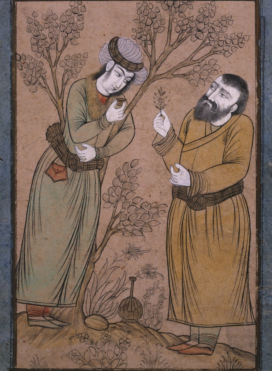 Doctor dando un remedio herbal a un joven, finales del siglo XVII-principios del siglo XVIII de Persian School