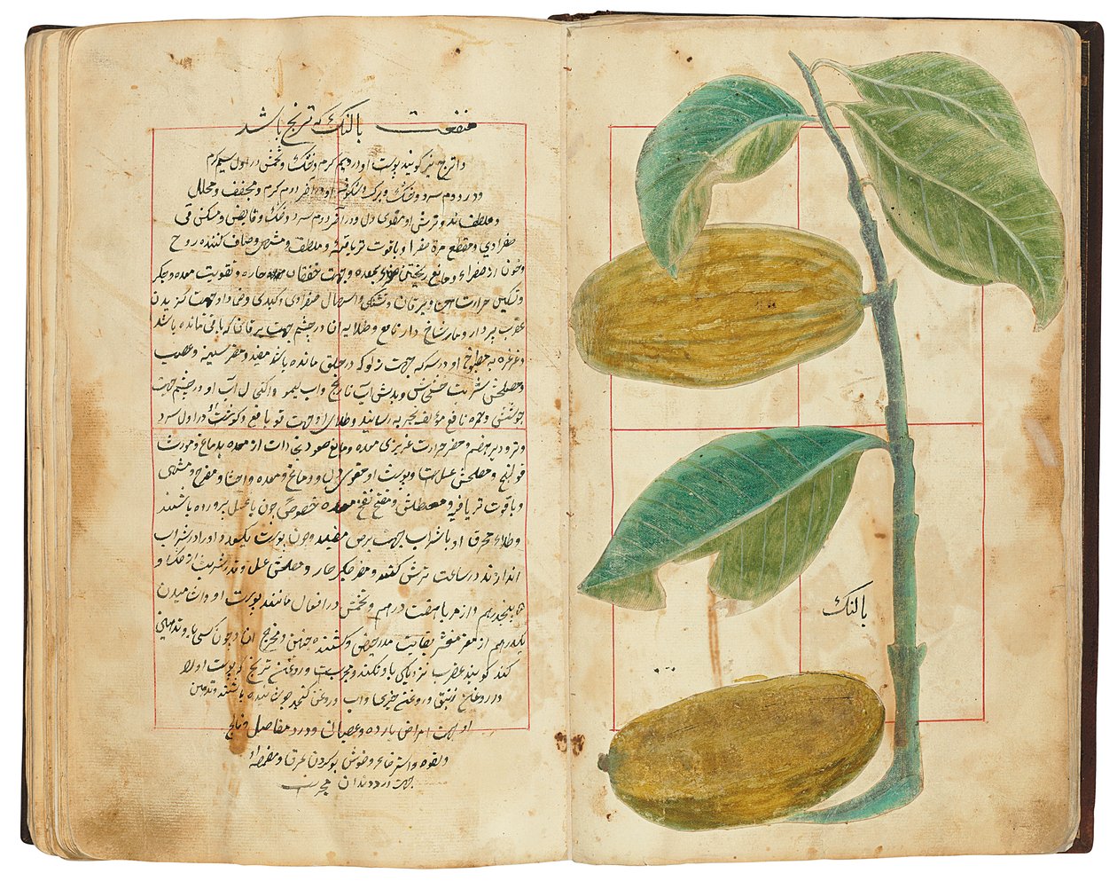 Hassan Bin Baqir Bin Jarrah: Gulzar Al-Rayahin, Qajar Irán de Persian School