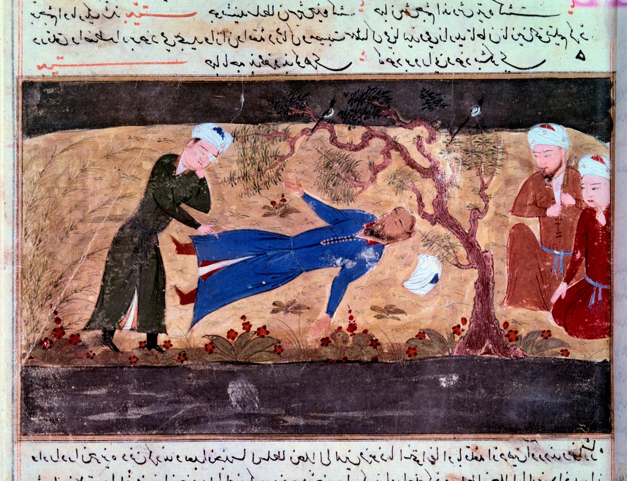 Historia de los mongoles: La muerte de Muhammad Hwarazmshah de Persian School