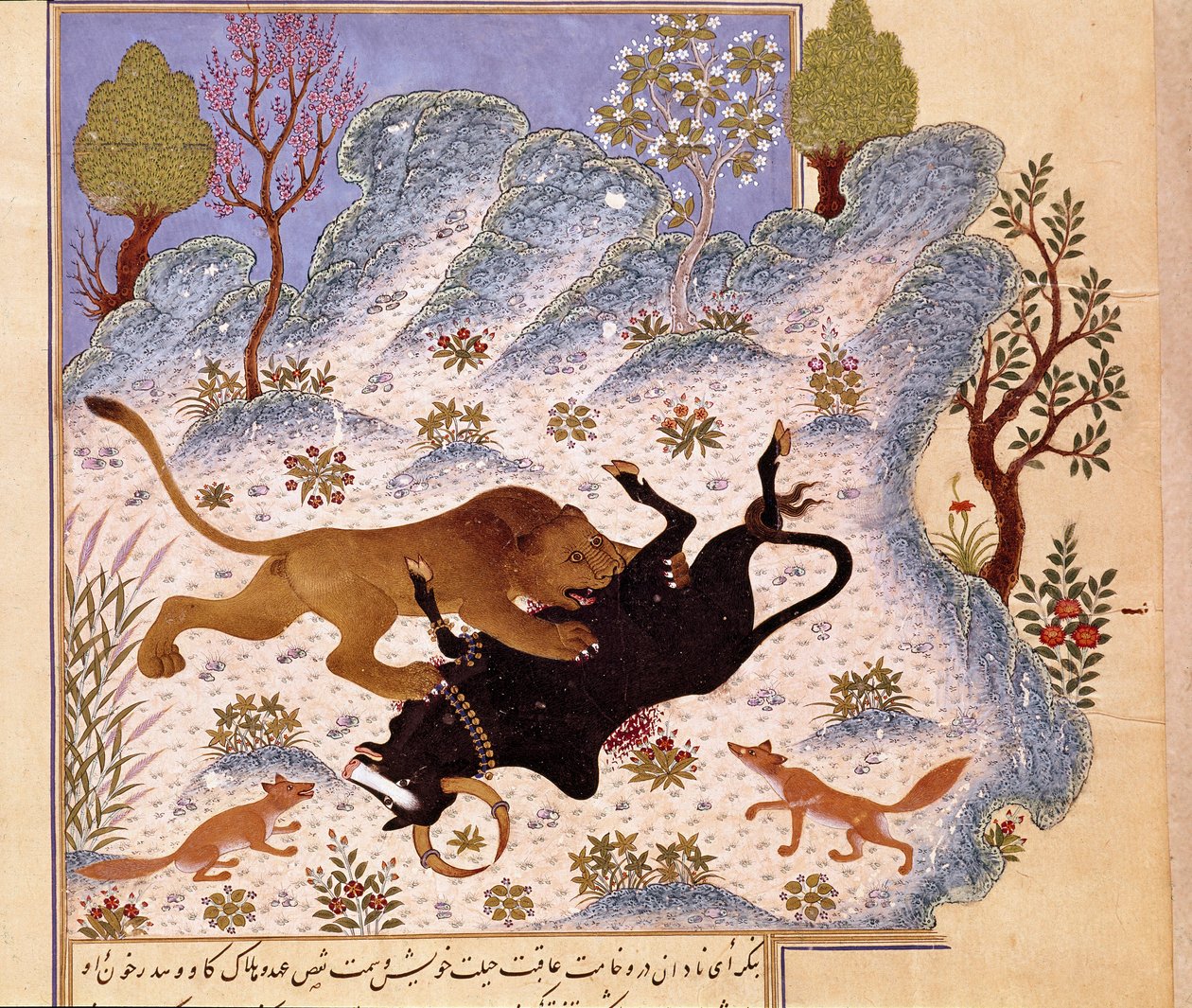 León atacando a un toro. Página de un Kalila y Dimna de Persian School