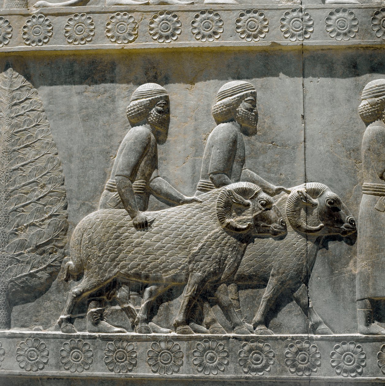 Los sogdianos traen regalos a Darío I. Relieves de la escalera oriental de la Apadana, siglo VI a.C. de Persian School